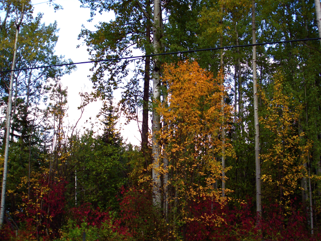 dsc05974.jpg