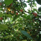 DSC01189
