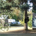 DSC01272