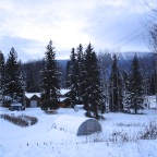 DSC01460