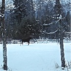 DSC01479