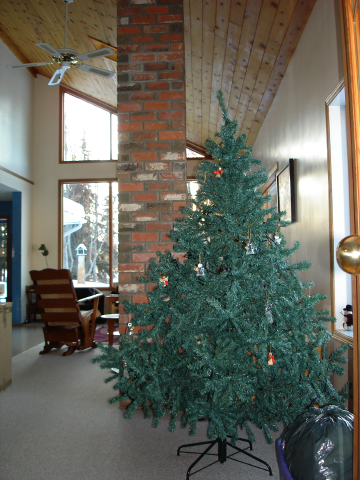 dsc06419.jpg