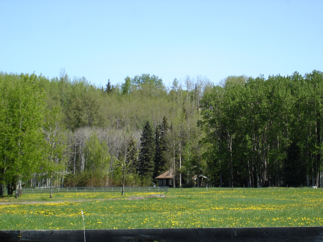 dsc06787.jpg
