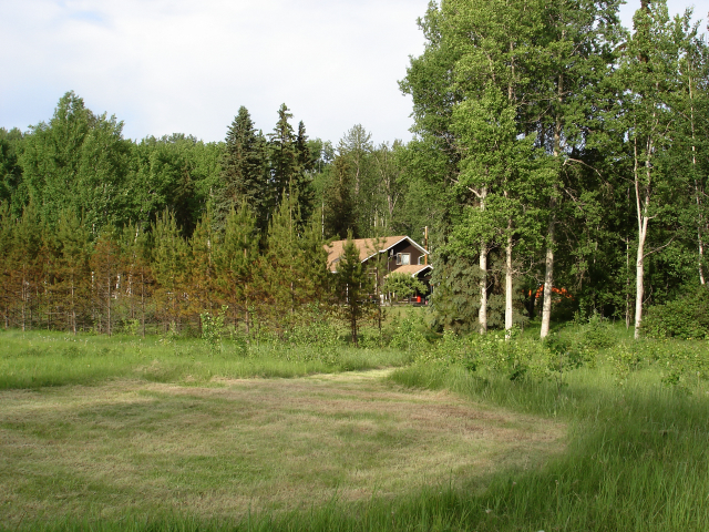 dsc06845.jpg