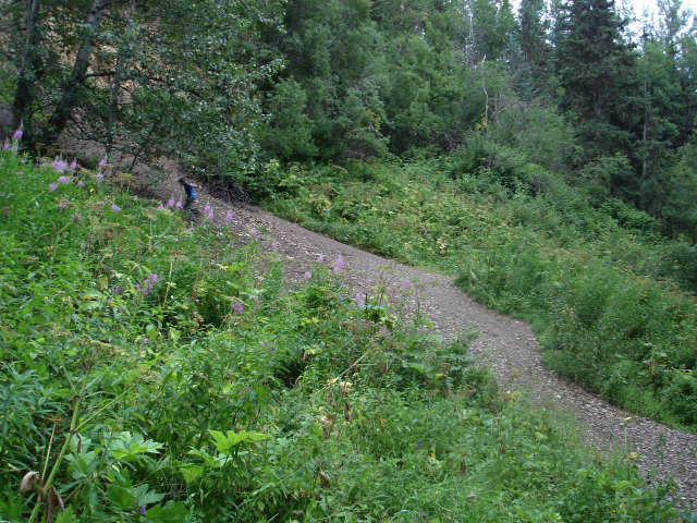 dsc05755.jpg