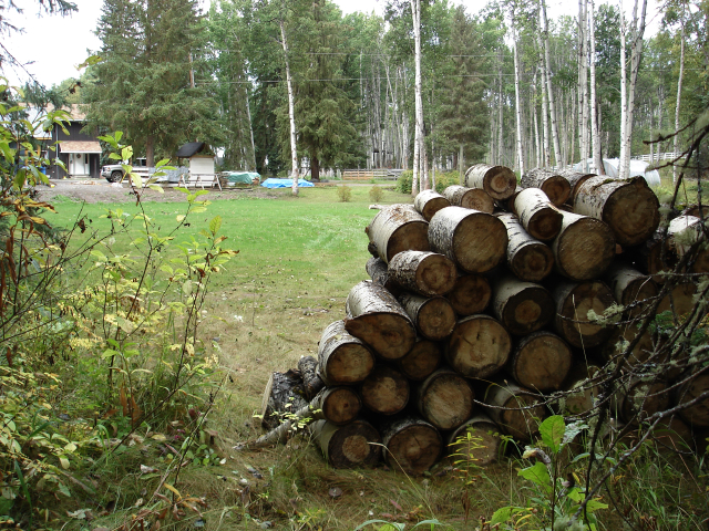 dsc07783.jpg