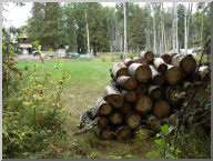 DSC07783.JPG