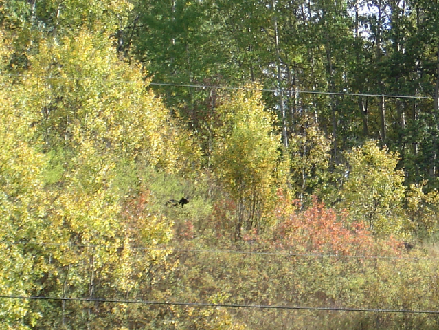 dsc07817_2.jpg