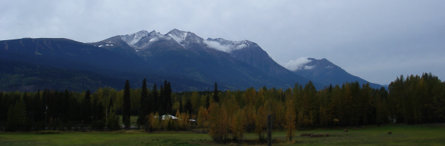 dsc07834.jpg