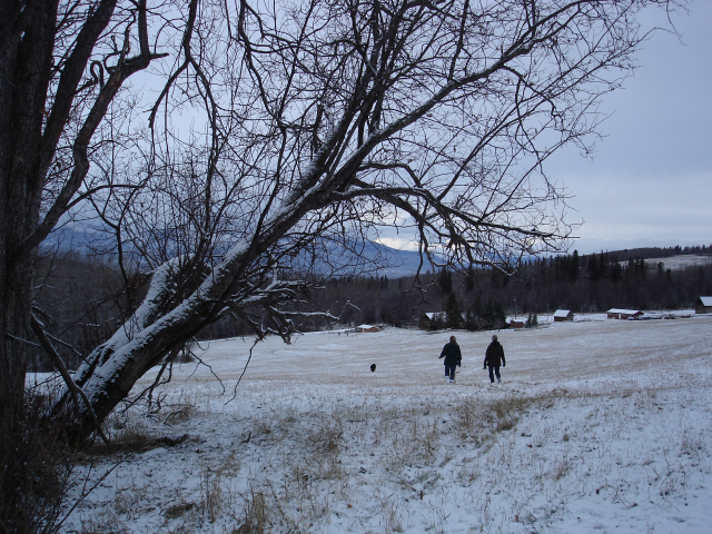 dsc08024.jpg
