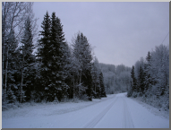 DSC08003.JPG