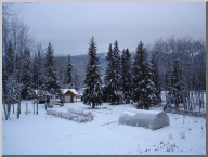DSC08033.JPG