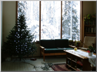 DSC08104.JPG