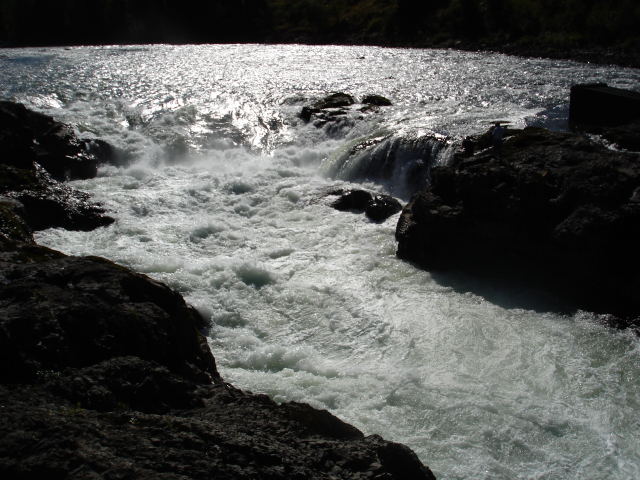 dsc05912.jpg