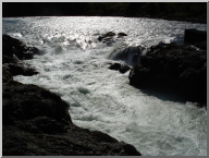DSC05912.JPG