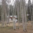 DSC00563