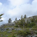 DSC00787