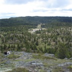 DSC00795