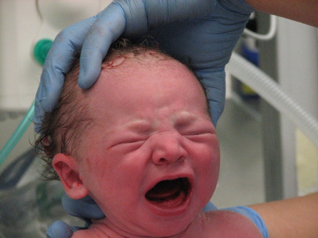 Loading Image